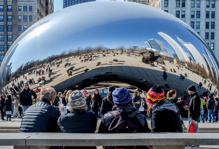 wildlife at the bean