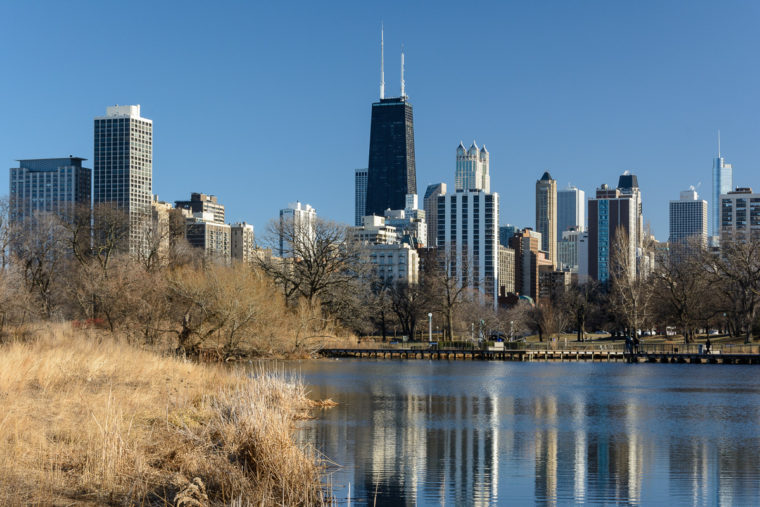 chicago skyline from the south pond