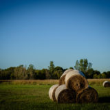 Hay Bales 9/21/15