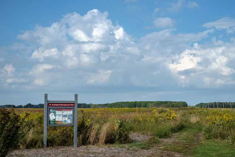 Bartel Grassland